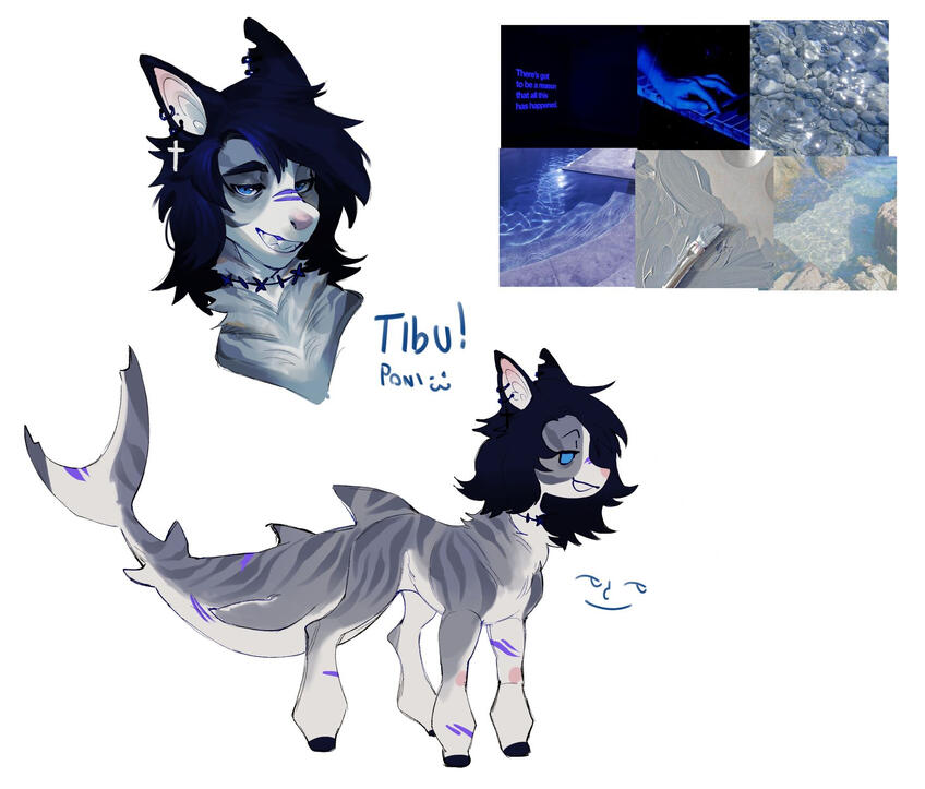 _______________________